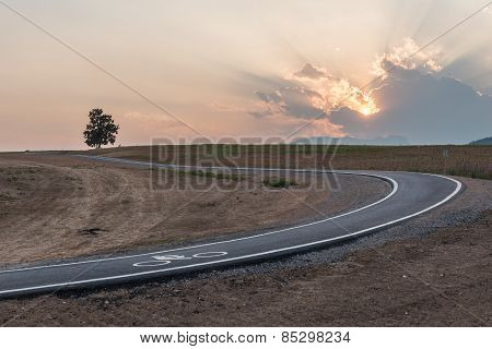 Bicycle Path In The Park