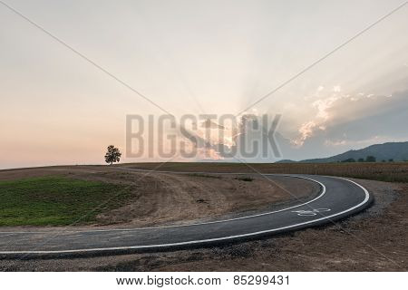 Bicycle Path In The Park