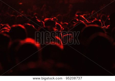 Crowd of people at a concert