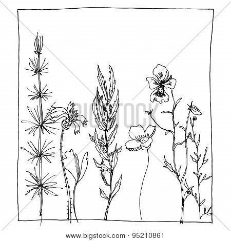floral composition