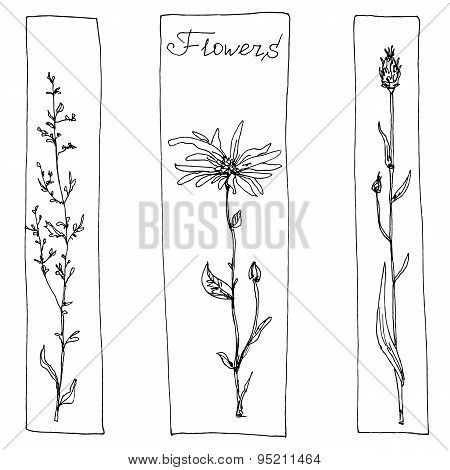 floral composition