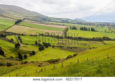 Cultivated Fields In The Andes, Machachi