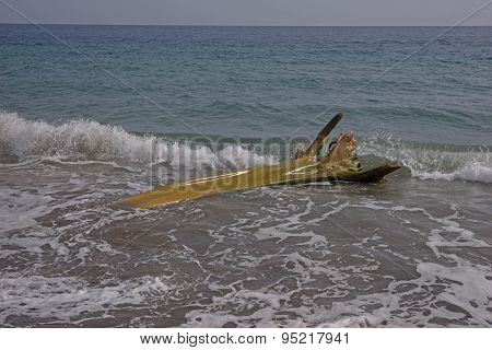 Wooden flotsam on caribbean beach