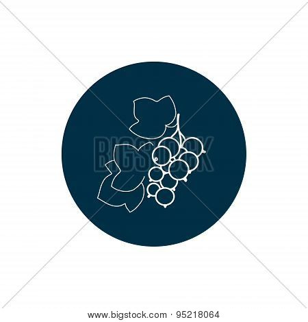 Icon Blackcurrant In The Contours