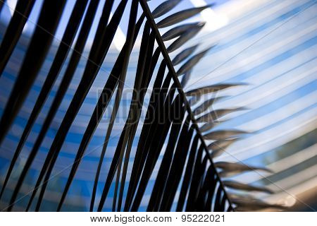 Leaf