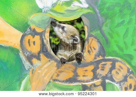 Baby Coati On A Painted Wall