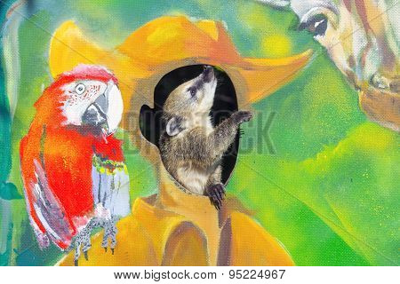 Baby Coati On A Painted Wall