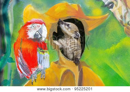 Baby Coati On A Painted Wall