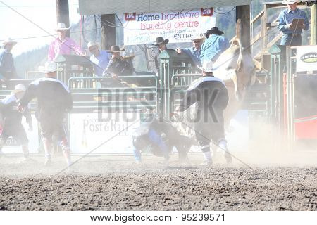 Ty Pozzobon Invitational Pbr