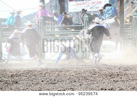 Ty Pozzobon Invitational Pbr