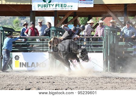 Ty Pozzobon Invitational Pbr