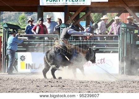 Ty Pozzobon Invitational Pbr