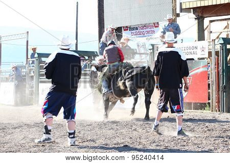 Ty Pozzobon Invitational Pbr