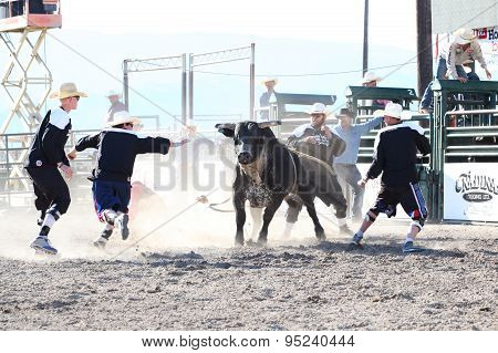 Ty Pozzobon Invitational Pbr