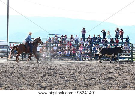 Ty Pozzobon Invitational Pbr