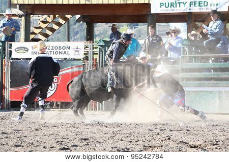 Ty Pozzobon Invitational Pbr