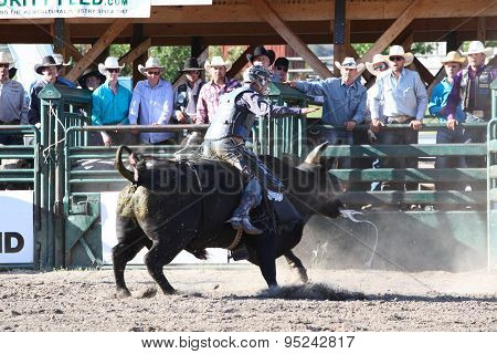 Ty Pozzobon Invitational Pbr