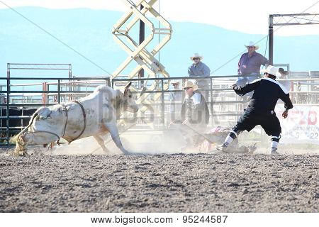 Ty Pozzobon Invitational Pbr