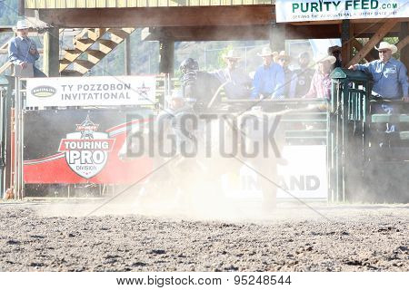 Ty Pozzobon Invitational Pbr
