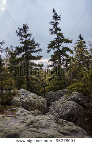Phenomenon of nature - Stolowe ( Table ) Mountains - rock formations in National Park - Poland near