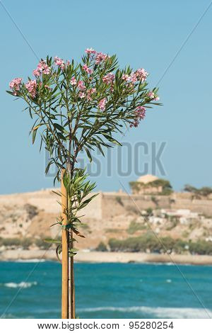 Rethymnon, Crete