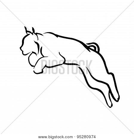 Logo lynx vector.