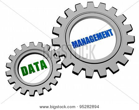Data Management In Silver Grey Gears