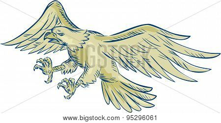 Bald Eagle Swooping Etching
