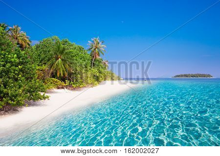 Tropical Island With Sandy Beach With Palm Trees And Turquoise Clear Water