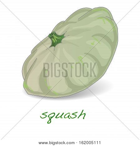 Scalloped custard squash (Cucurbita pepo var. patisson) isolated
