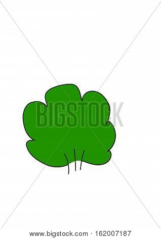 Lush green bush on a white background.