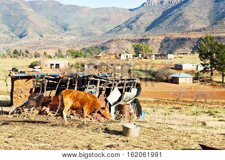 In Lesotho     Street Village