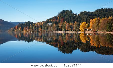 Autumn forest reflected in the surface of the lake Titisee, Germany