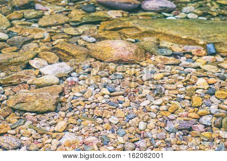 Small tropical fishes near the water surface natural pond of Mu Koh Chang National Park, Chang island, Thailand. Path to the Khlong Phlu waterfall. Natural background. Soft Focus.