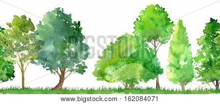 watercolor landscape with deciduous trees, pine, bushes and grass, seamless pattern, abstract nature background, forest border, hand drawn illustration