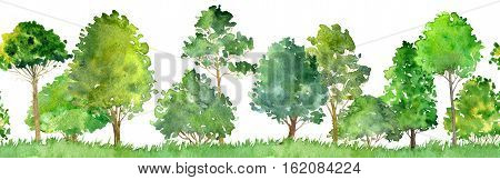 watercolor landscape with deciduous trees, pine, bushes and grass, seamless pattern, abstract nature background, forest border, hand drawn illustration