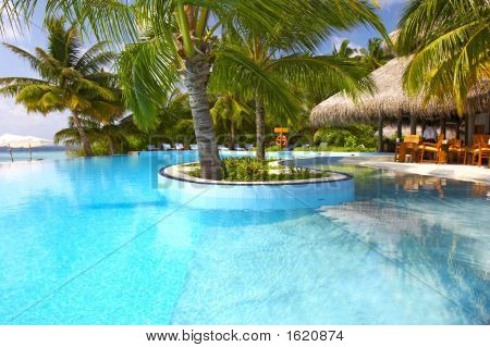 Nice Tropic Pool