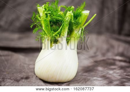 Fennel dark background, natural, isolated, vitamin , diet