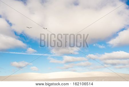 View of Lancelin Sand Dunes in Western Australia. This place for Surfing in Sand. Famous of Families enjoying. Landscape View .