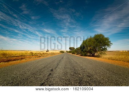 Straight road goes to horizon on background of ble sky and Golden wheat field.