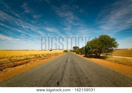 Straight road goes to horizon on background of ble sky and Golden wheat field.