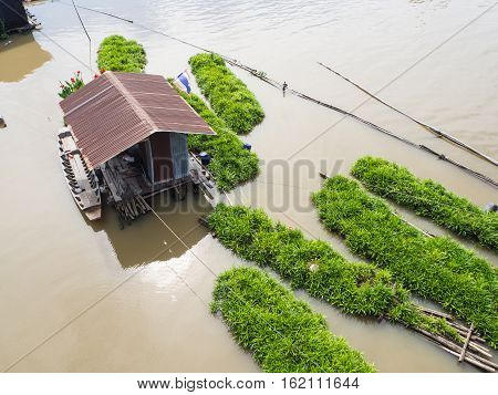 Screwpine Farm On River.