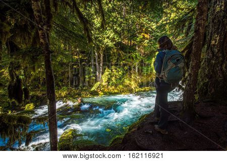 Tourist Backpacker Looking At Mckenzie River Down From Sahalie Falls Oregon