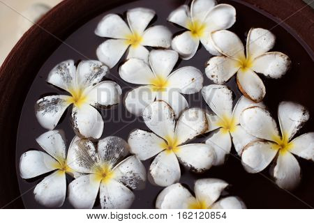 Sri Lanka: Araliya flower, temple tree in the water, traditional decoration in local restaurants