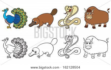 Cute Zoo Animals Vector & Photo (Free Trial) | Bigstock