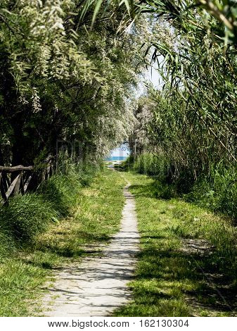 View of the beach in the Natural Reserve Sentina, San Benedetto del Tronto, Marche, Italy