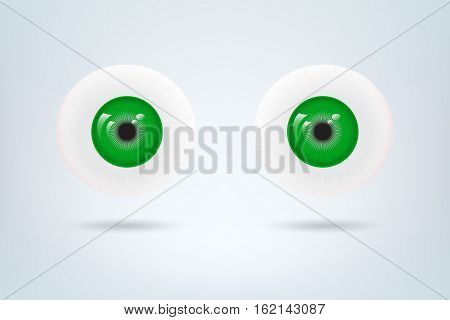 Human green eyes balls pupil. Medical visual material. Vector illustration.