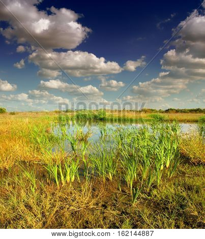 Bog landscape with bog pools in the autumn      