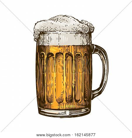 Beer in glass mug with foam. Hand drawn vector illustration isolated on white background