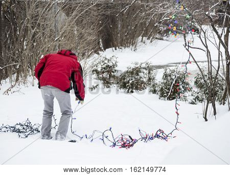 Person bending down over string of lights to check Christmas holiday lighting and wiring to put Christmas decorations outdoors on the trees in the snow background image with room for copy